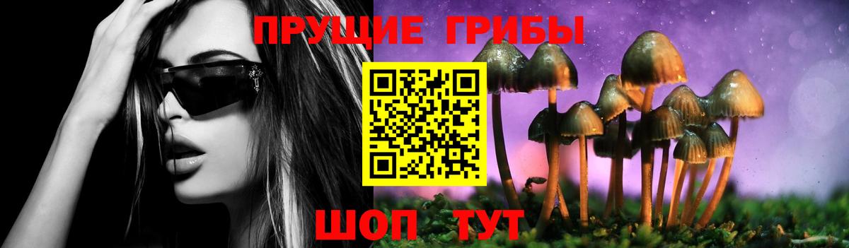 Галлюциногенные грибы GOLDEN TEACHER  Вход с VPN  купить закладку  Галлюциногенные грибы мицелий  Первоуральск 